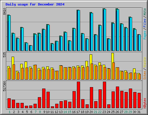 Daily usage for December 2024