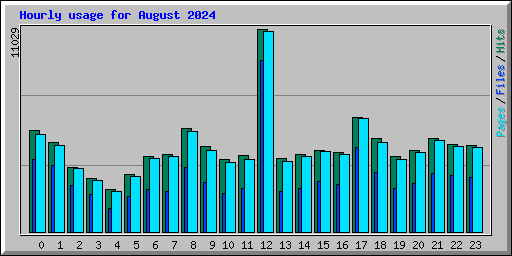 Hourly usage for August 2024