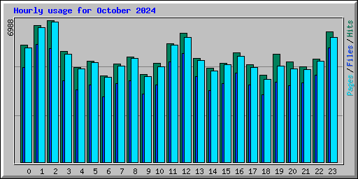 Hourly usage for October 2024