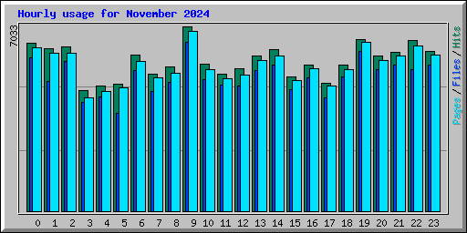 Hourly usage for November 2024