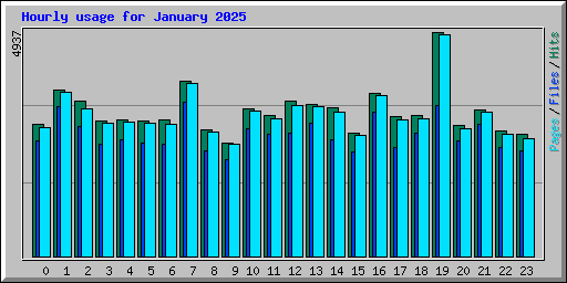 Hourly usage for January 2025