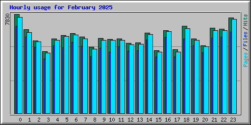 Hourly usage for February 2025