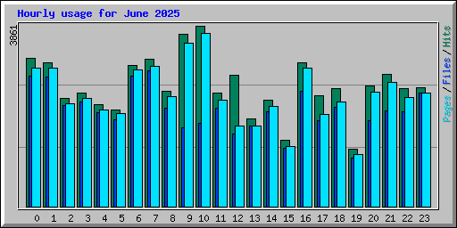 Hourly usage for June 2025