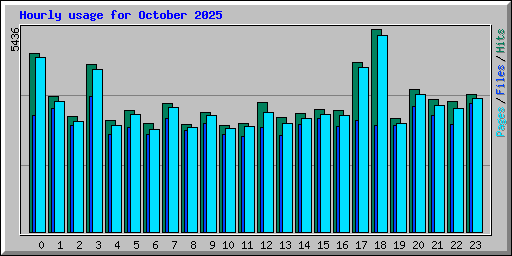 Hourly usage for October 2025