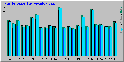 Hourly usage for November 2025