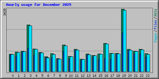 Hourly usage for December 2025
