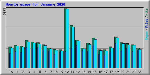 Hourly usage for January 2026