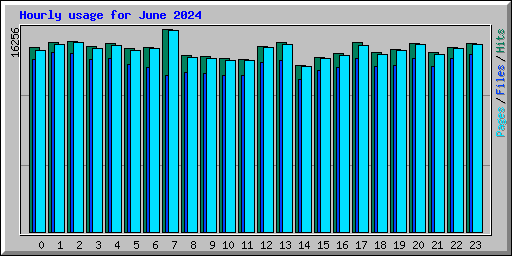 Hourly usage for June 2024