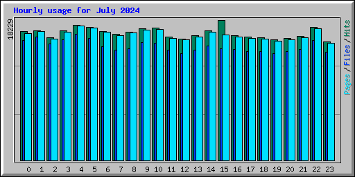 Hourly usage for July 2024