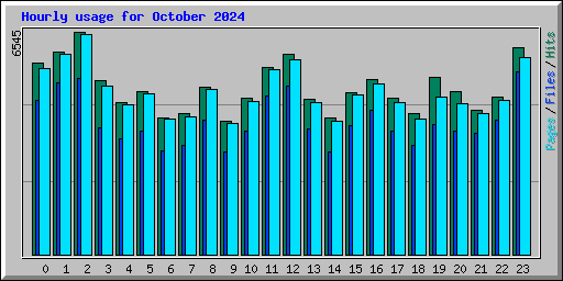 Hourly usage for October 2024