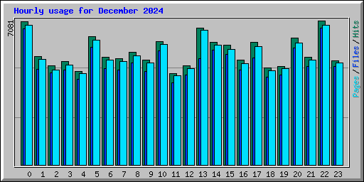 Hourly usage for December 2024