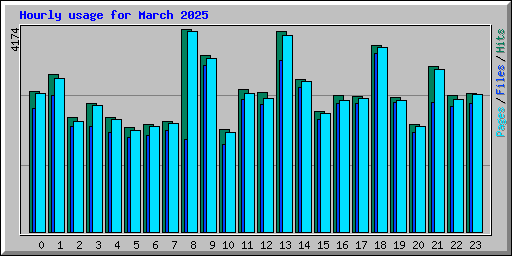 Hourly usage for March 2025