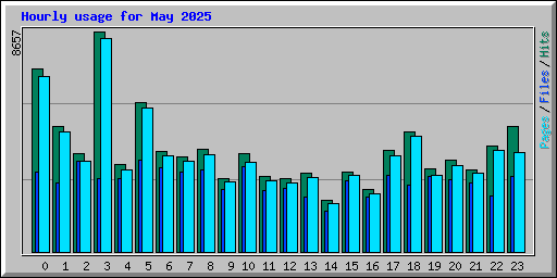 Hourly usage for May 2025
