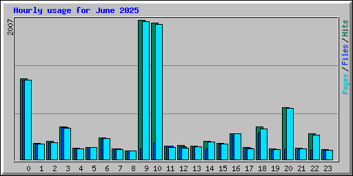 Hourly usage for June 2025