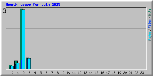 Hourly usage for July 2025