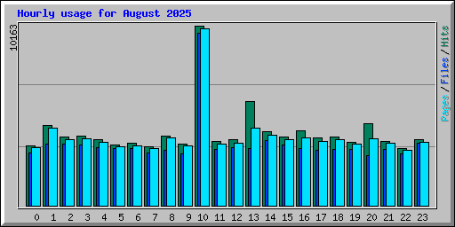 Hourly usage for August 2025