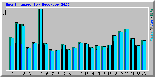 Hourly usage for November 2025