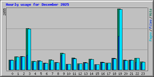 Hourly usage for December 2025