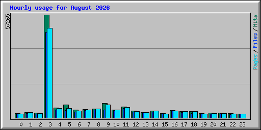 Hourly usage for August 2026